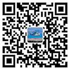 送飛實(shí)業(yè)集團(tuán)